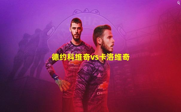 德约科维奇vs卡洛维奇